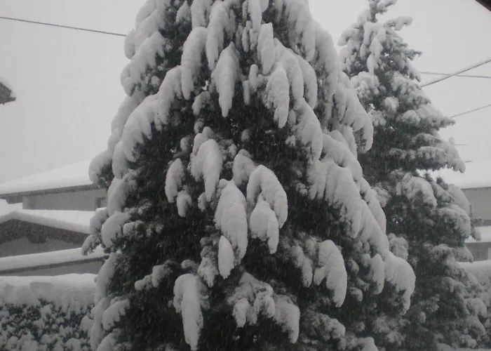 Gaesteheim Anna Längenfeld