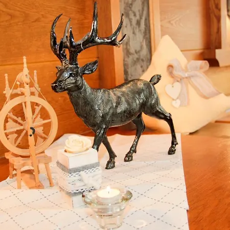 Gaesteheim Anna 4* לאנגנפלד